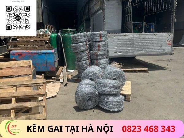 kẽm gai tịa hà nội